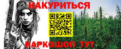 гидра Краснознаменск