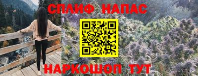 гидра Краснознаменск